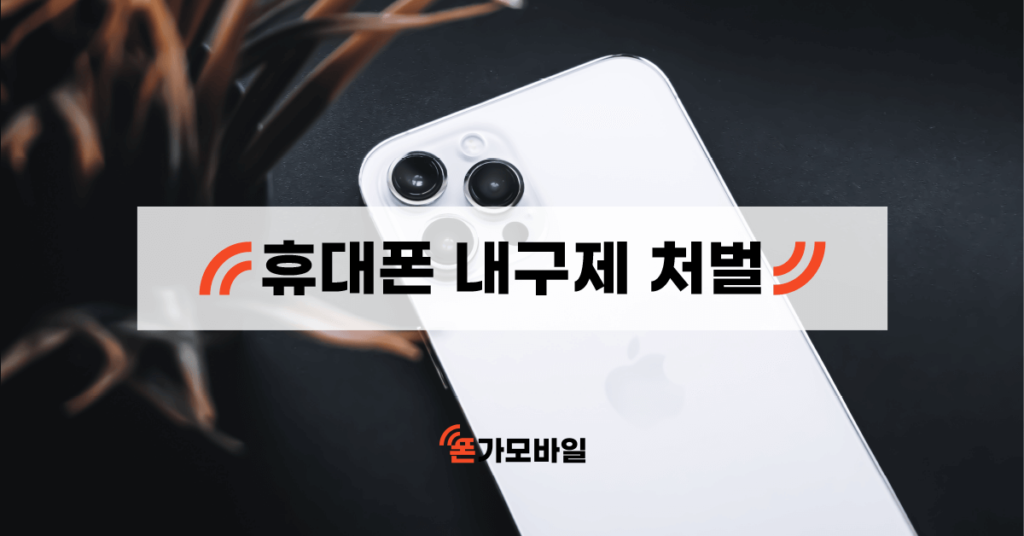 휴대폰 내구제 처벌